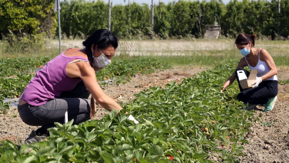 La dinamica dell'occupazione giovanile - 