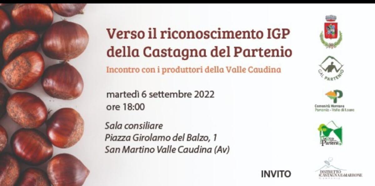 Verso il riconoscimento IGP della Castagna del Partenio - 