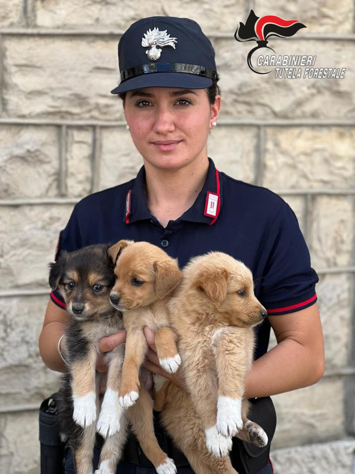 Cuccioli abbandonati salvati dai Carabinieri - 