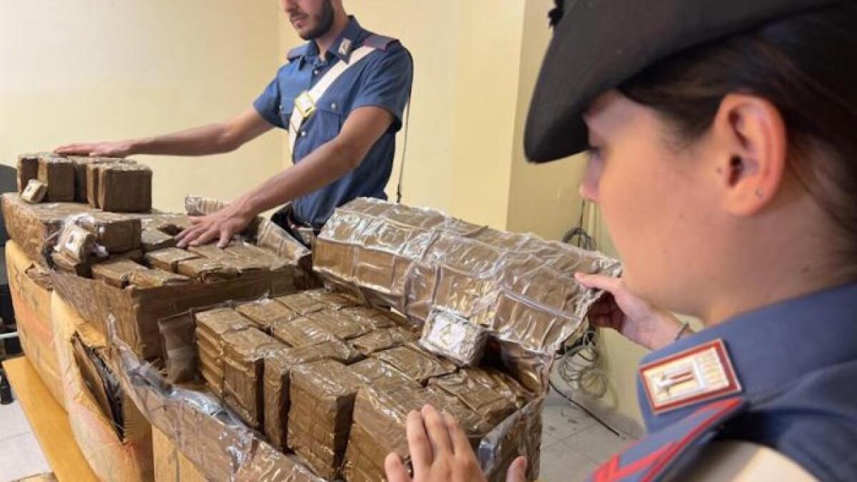 Sorpreso con 231 Kg di hashish, in manette un 37enne - 