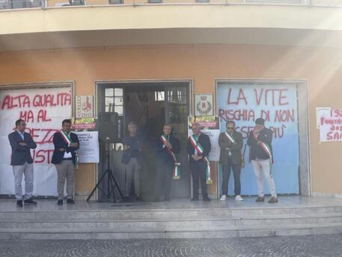 Prezzi bassi per uve di qualità, sos dei viticoltori - 