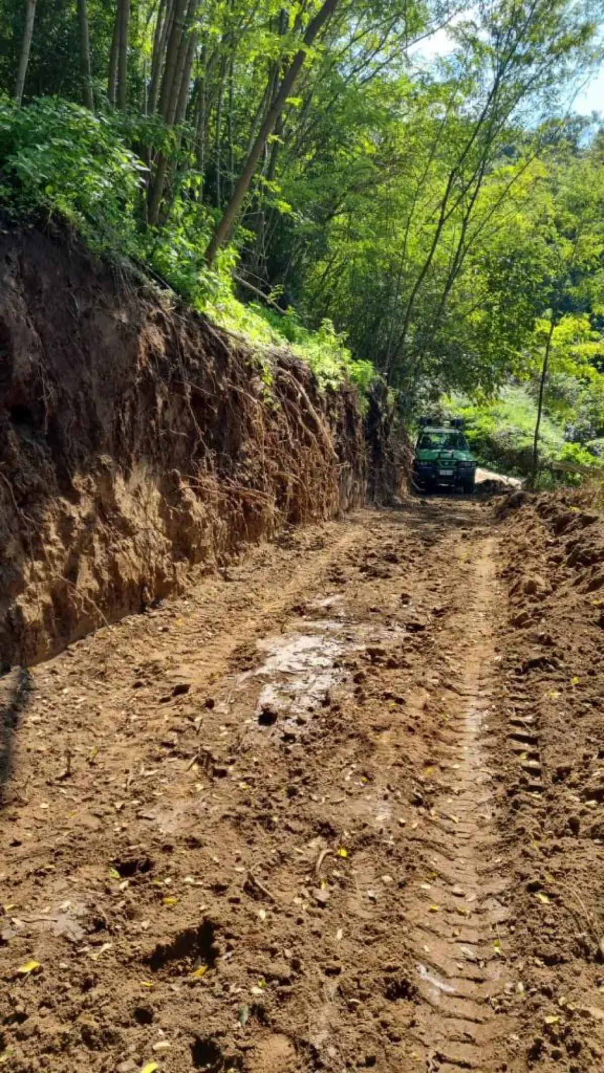 Costruiscono strada abusiva in un bosco, i carabinieri sequestrano area - 