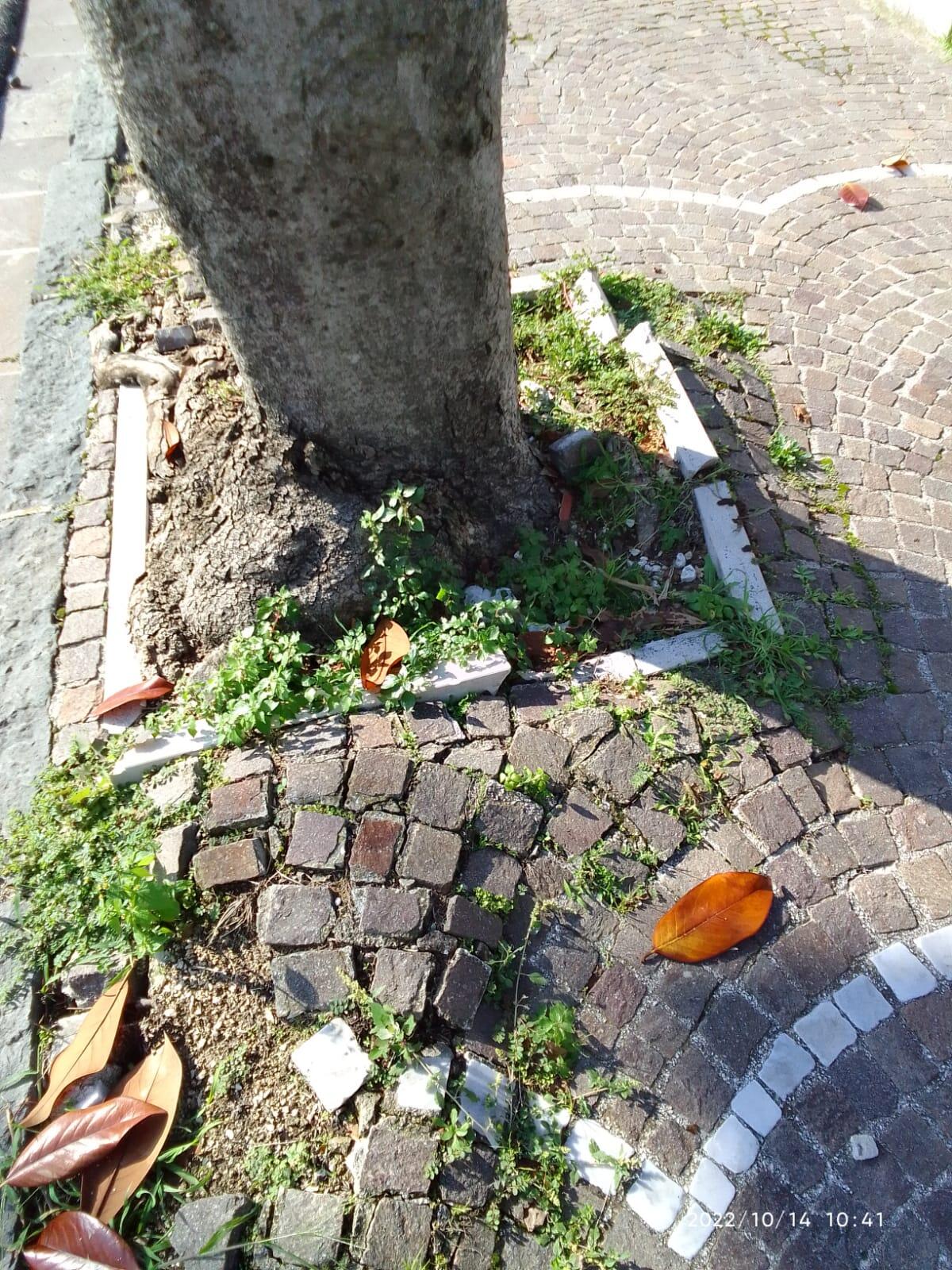 Cervinara. In Via Rettifilo situazione di pericolo per i pedoni - 