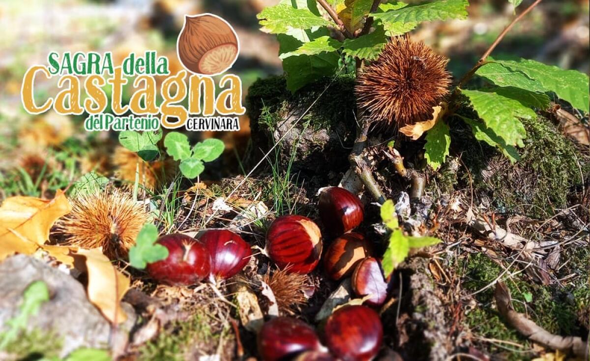Cervinara, "Sagra della Castagna": tutto pronto per la 41esima edizione - 