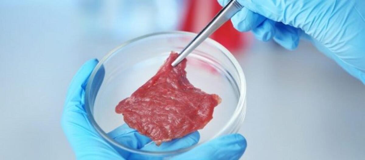 Autorizzata per il consumo umano la “carne” in provetta - 