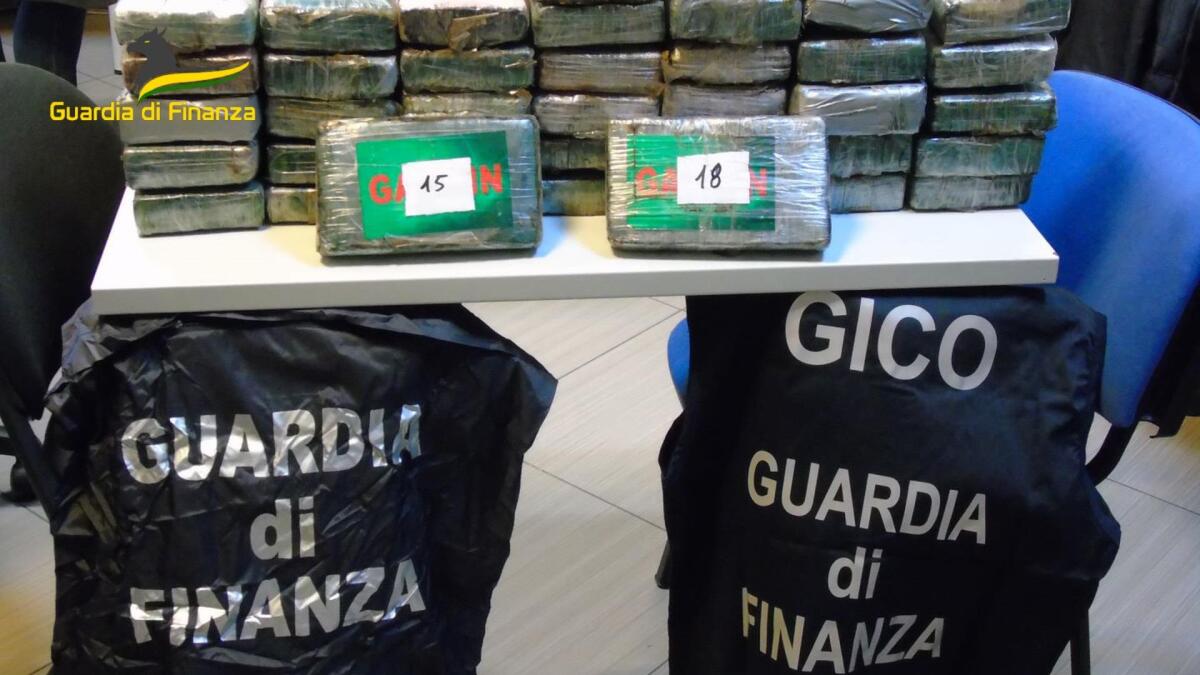 Associazione finalizzata al traffico illecito di sostanze stupefacenti, 19 arresti - 