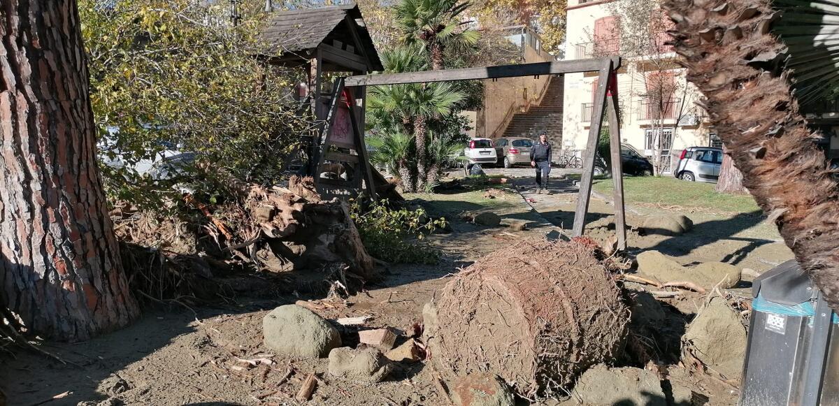 <strong>In Campania persi in dieci anni quasi 40 mila ettari di suolo agricolo</strong> - 
