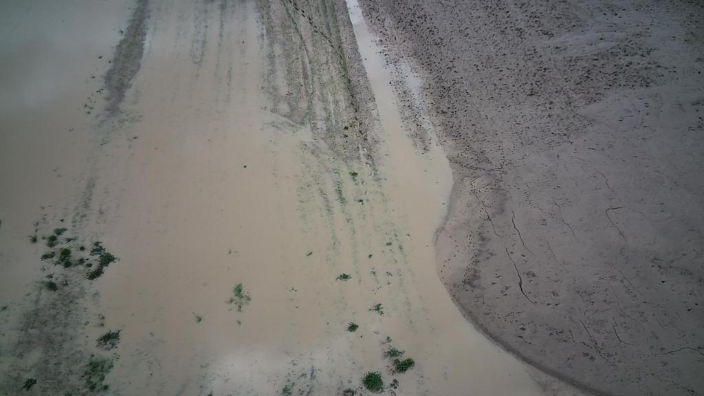 Maltempo, a Teora il fiume Ofanto strappa i semi dai terreni