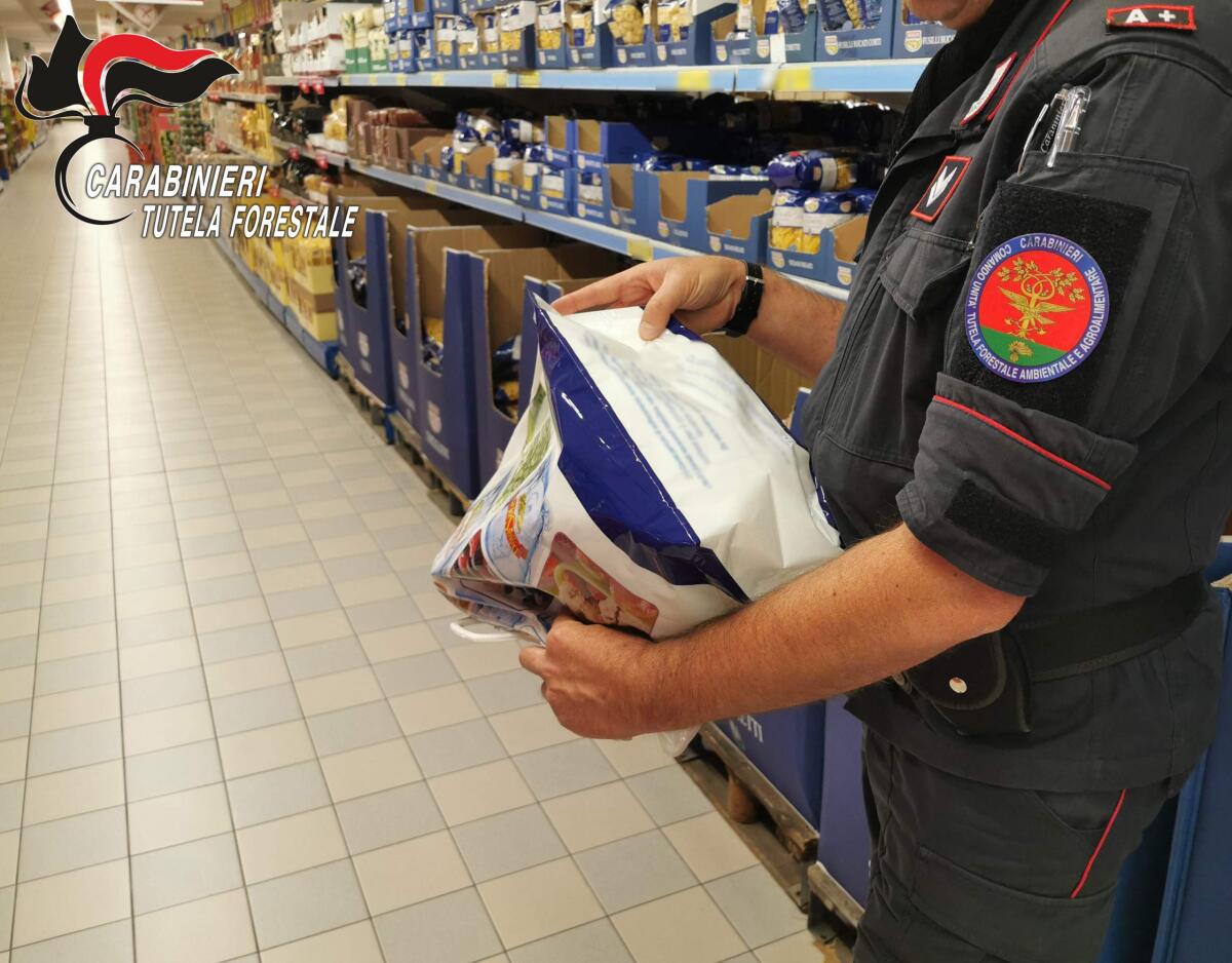 Operazione "Safe New Year" - 