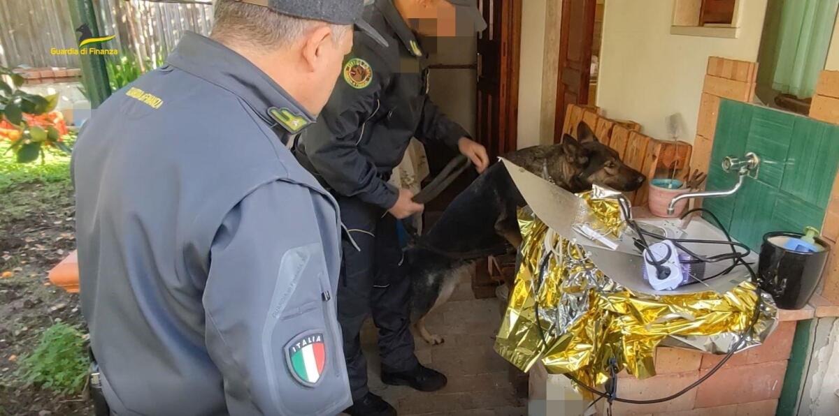 Un arresto, due denunce e oltre 44 Kg. di sostanza stupefacente sequestrata  - 