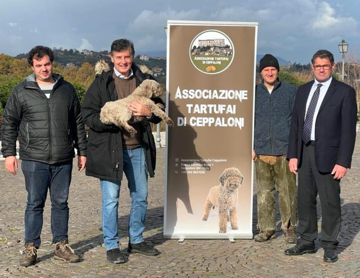 "Tartufo al Borgo" di Ceppaloni raddoppia. - 