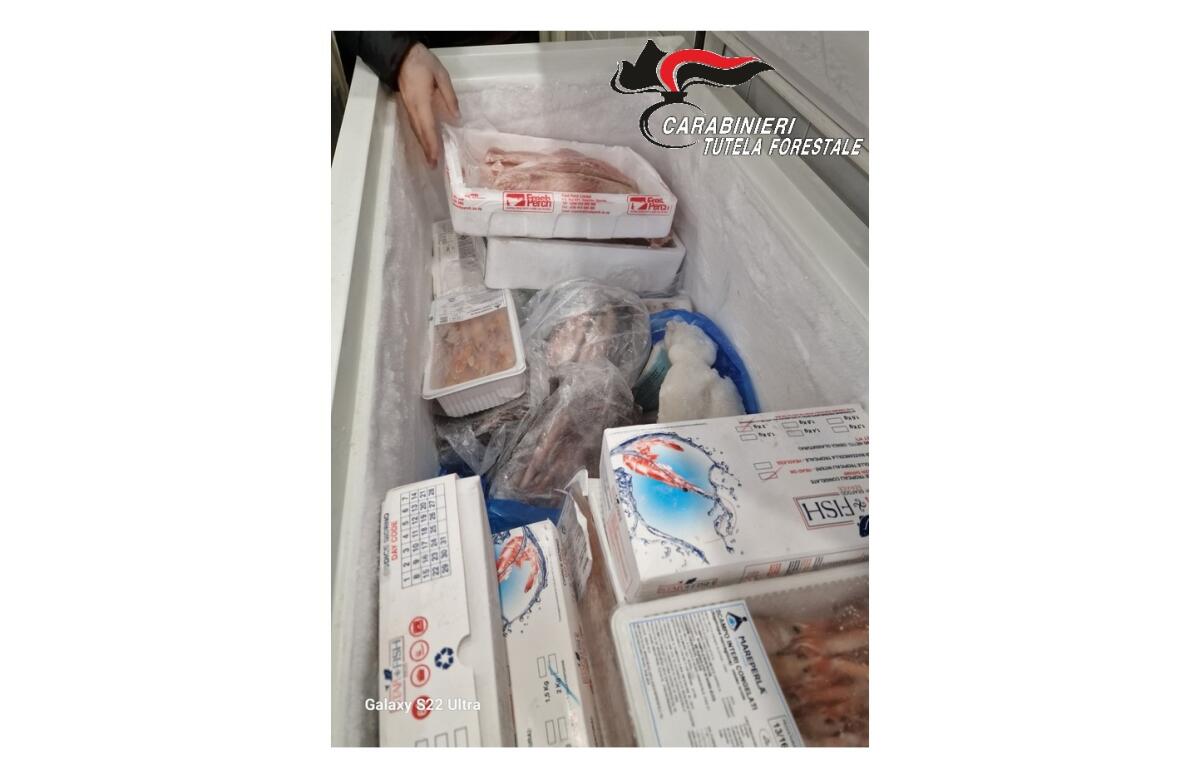 Pescherie nel mirino dei Carabinieri forestale - 