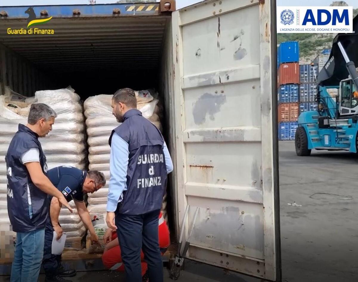 Sequestrate nel porto di Salerno, oltre 24 tonnellate di pellet proveniente dalla Turchia. - 