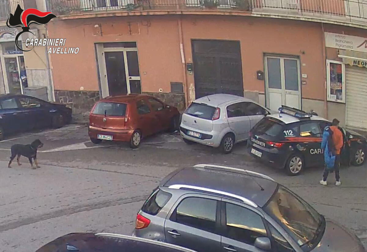 28 enne aizza cane di grossa taglia contro passanti e carabinieri, arrestato - 
