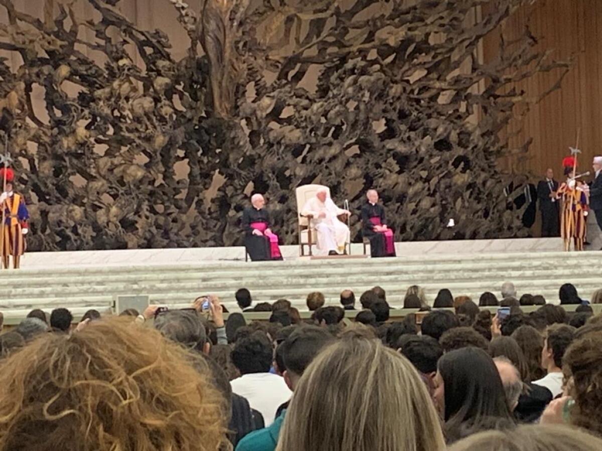 Gli studenti dell'IIS G. Alberti incontrano il Papa - 