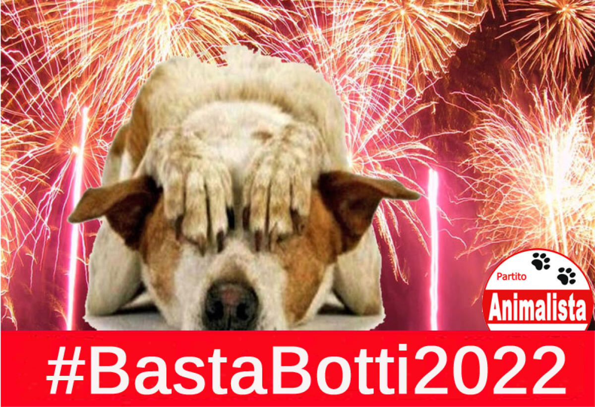 Campagna “Basta Botti 2022”, appello alle Prefetture e alle Forze di Polizia - 
