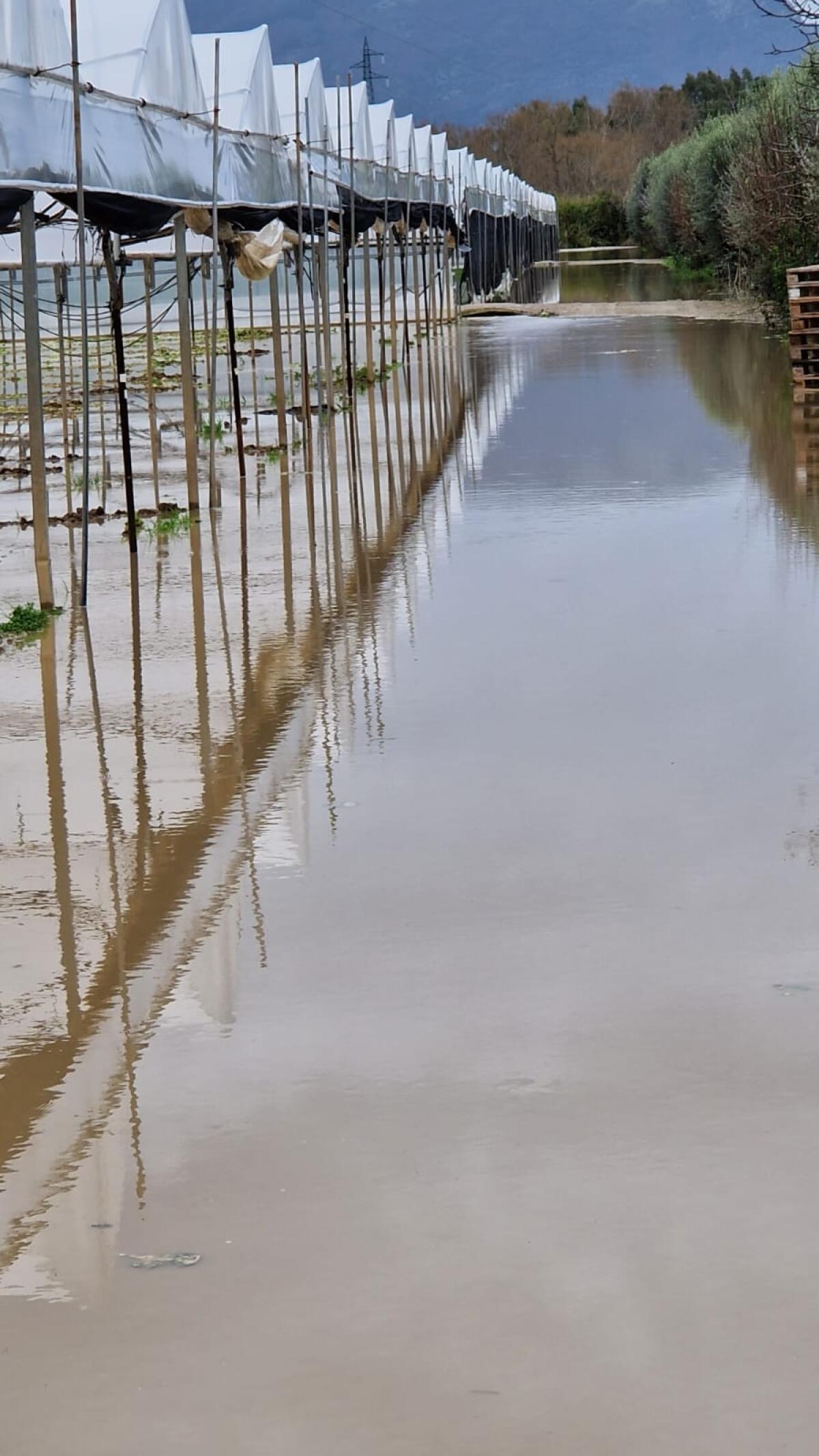 Confagricoltura,in Campania conta danni maltempo a ridosso Sele e Calore - 