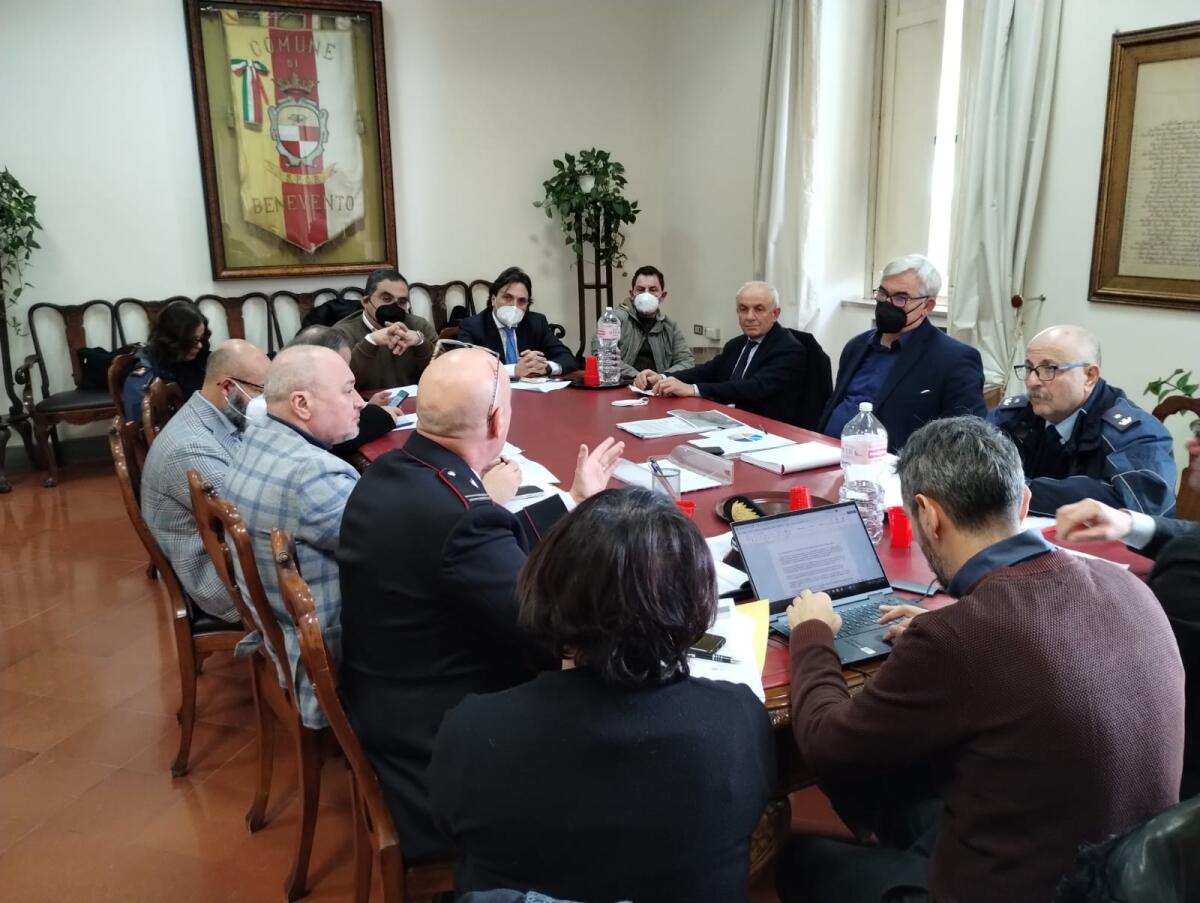 Pericolo cinghiali in zona urbana, le misure decise dal briefing a Palazzo Mosti - 