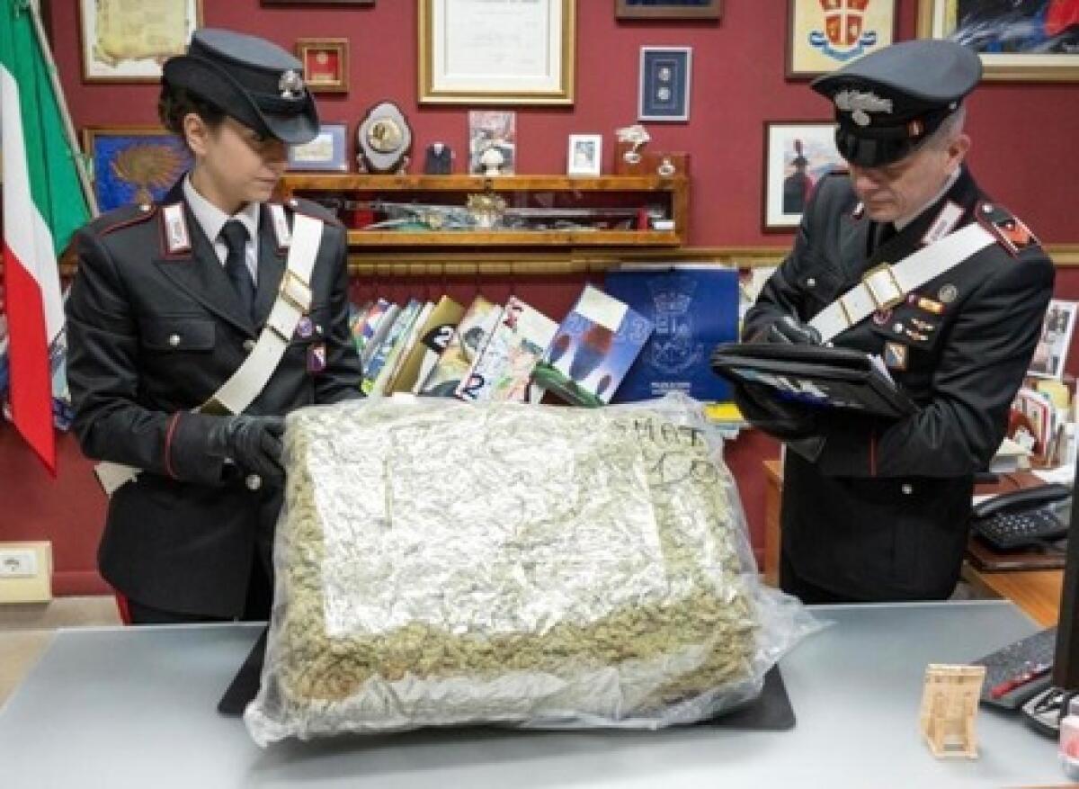 Acquista sul web pastori per presepe e gli arrivano 10kg. di marijuana - 