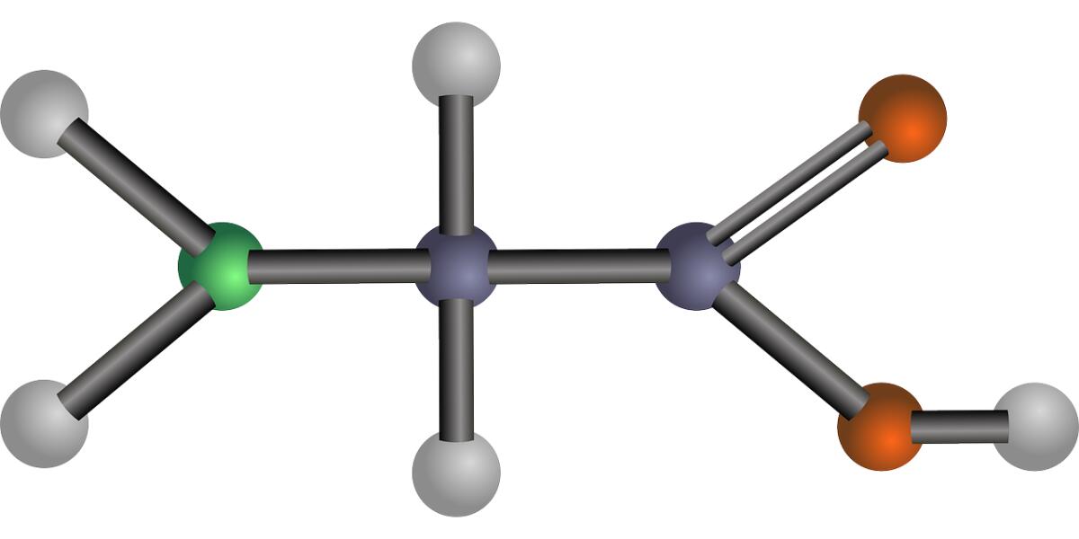 Aminoacidi: cosa sono e in quali casi assumerli - 