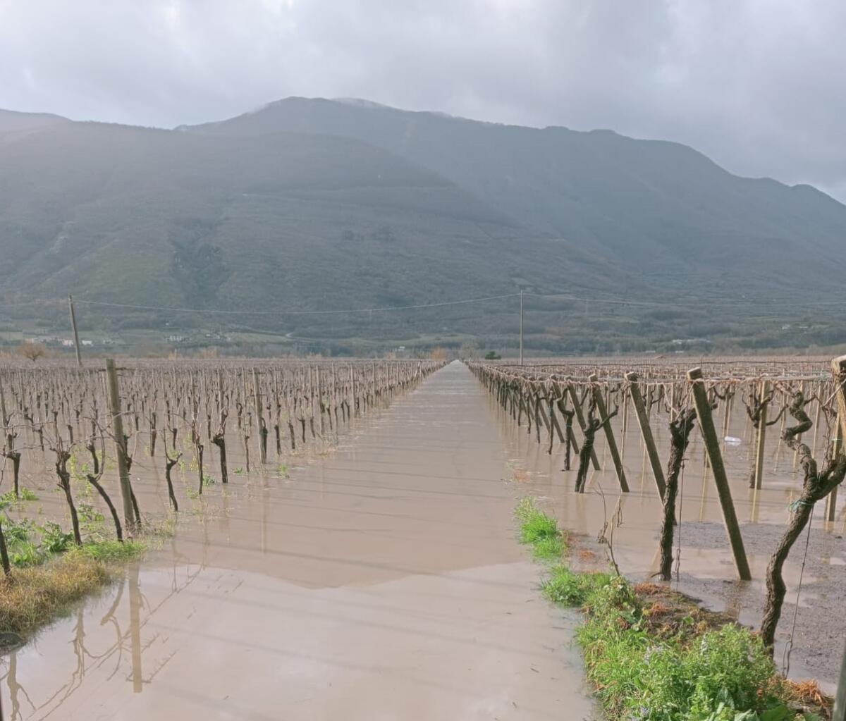 Campi e vigneti allagati, in corso verifica danni in tutta la regione - 