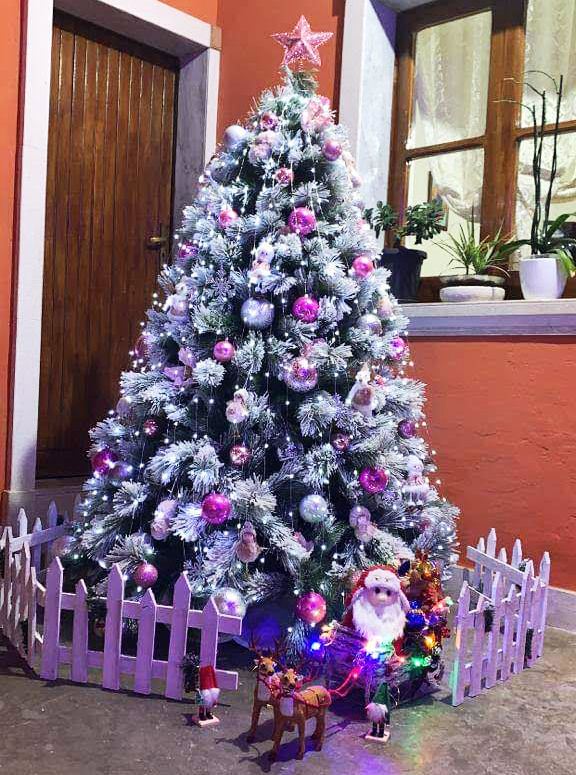 Concorso ‘Creiamo il Natale’, Milva Guerrera e Filomena Piacquadio le vincitrici