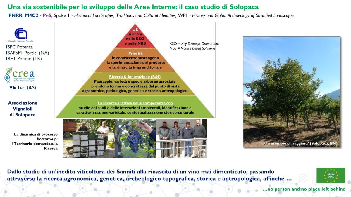 Solopaca nel PNRR per il Paesaggio rurale e la Biodiversità viticola storica - 
