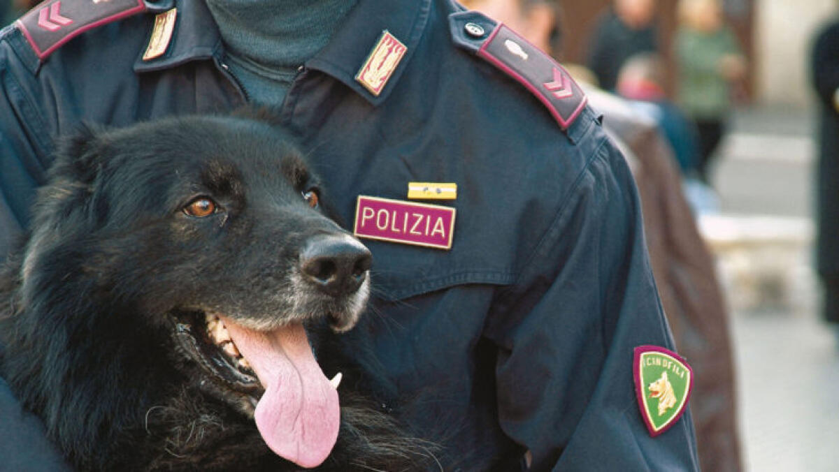 Introduzione di droga nelle scuole, controlli della Polizia - 