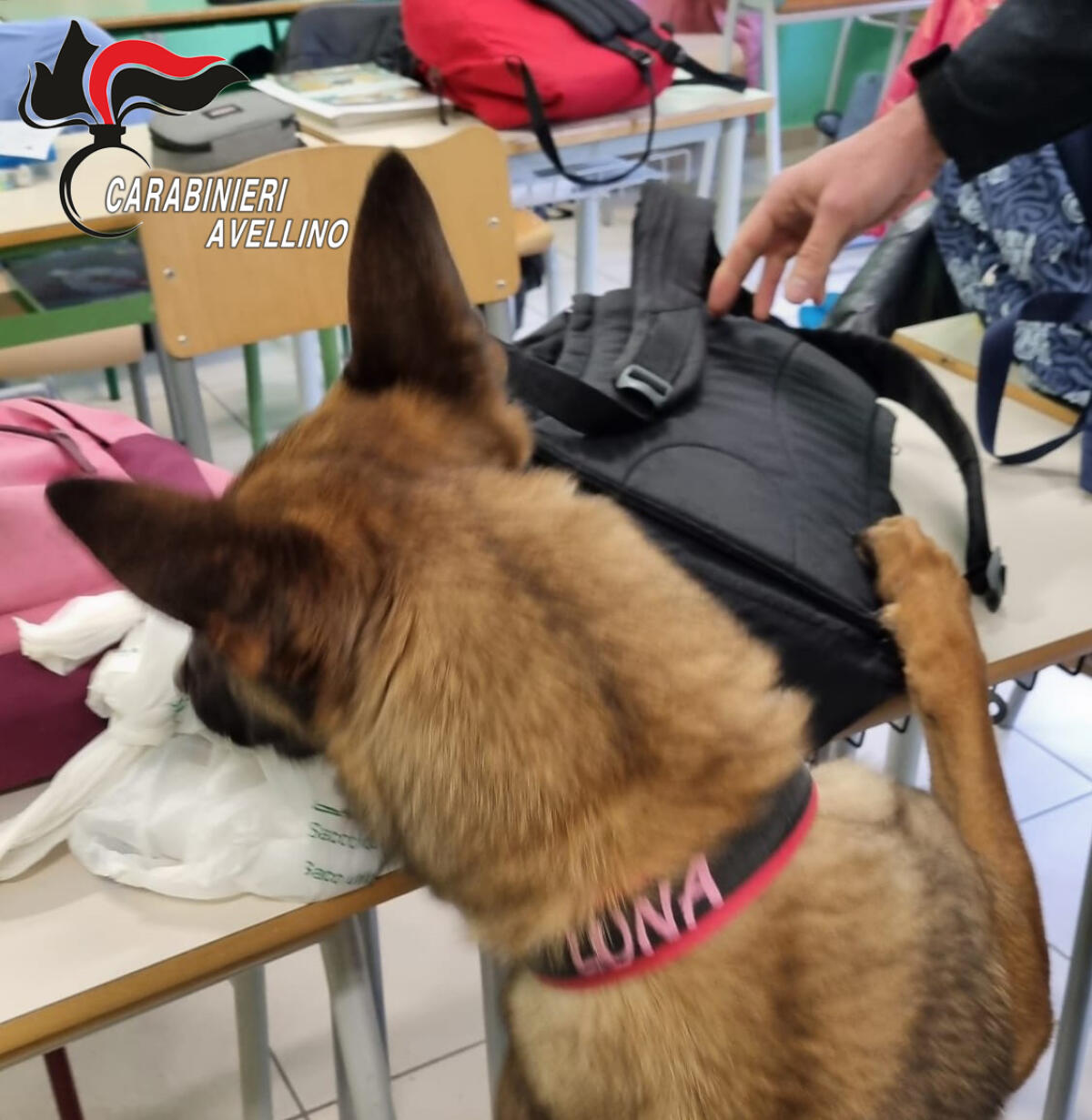 Ariano Irpino. Controlli dei Carabinieri nelle scuole. - 