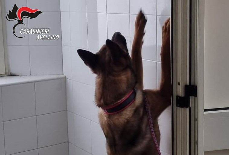 Ariano Irpino. Controlli dei Carabinieri nelle scuole.