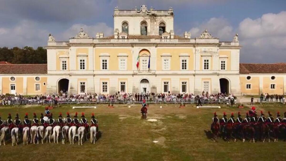 Fise e Real Sito di Carditello, nuovo piano strategico er la valorizzazione dei cavalli - 