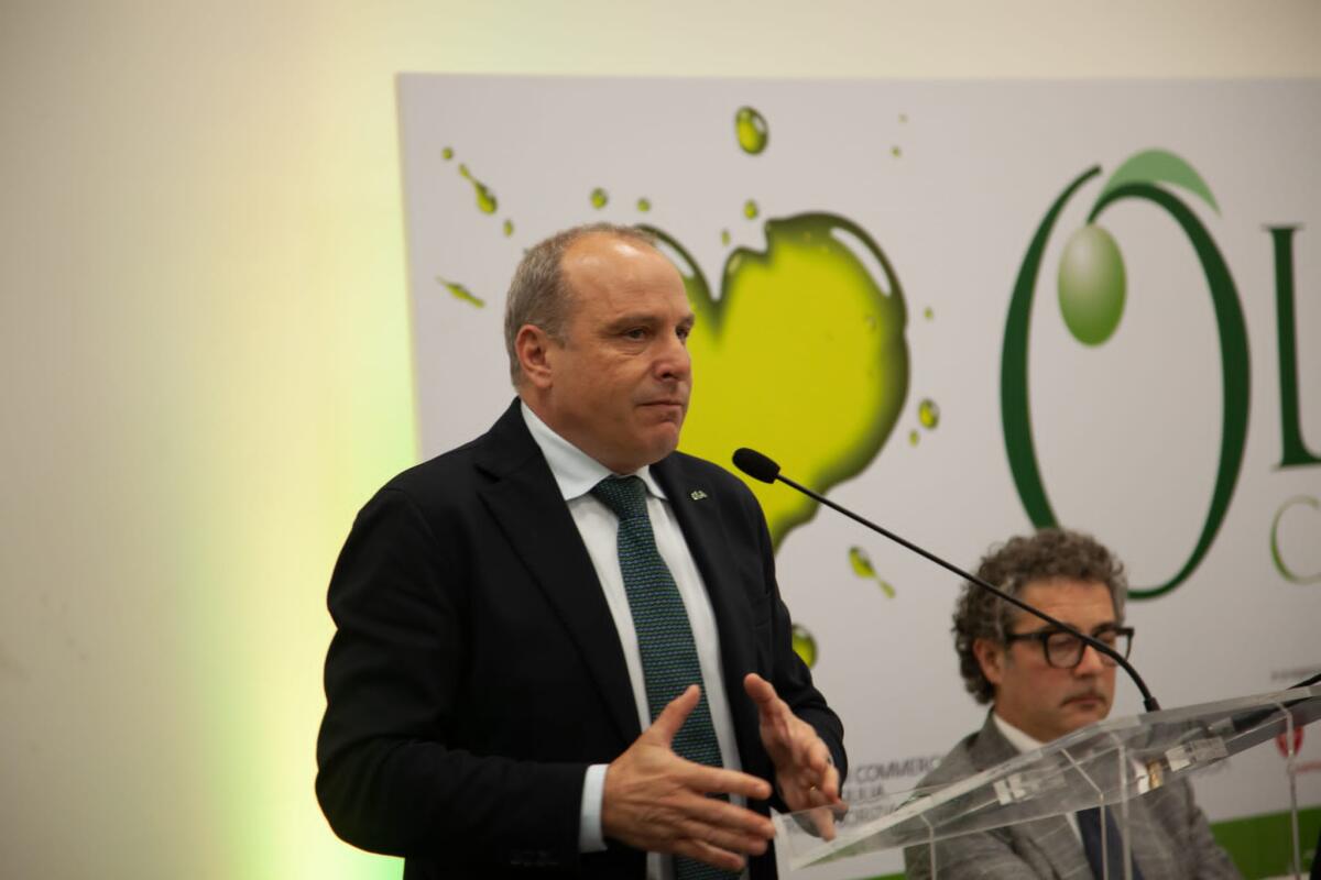 Olio Campania è Igp. - 