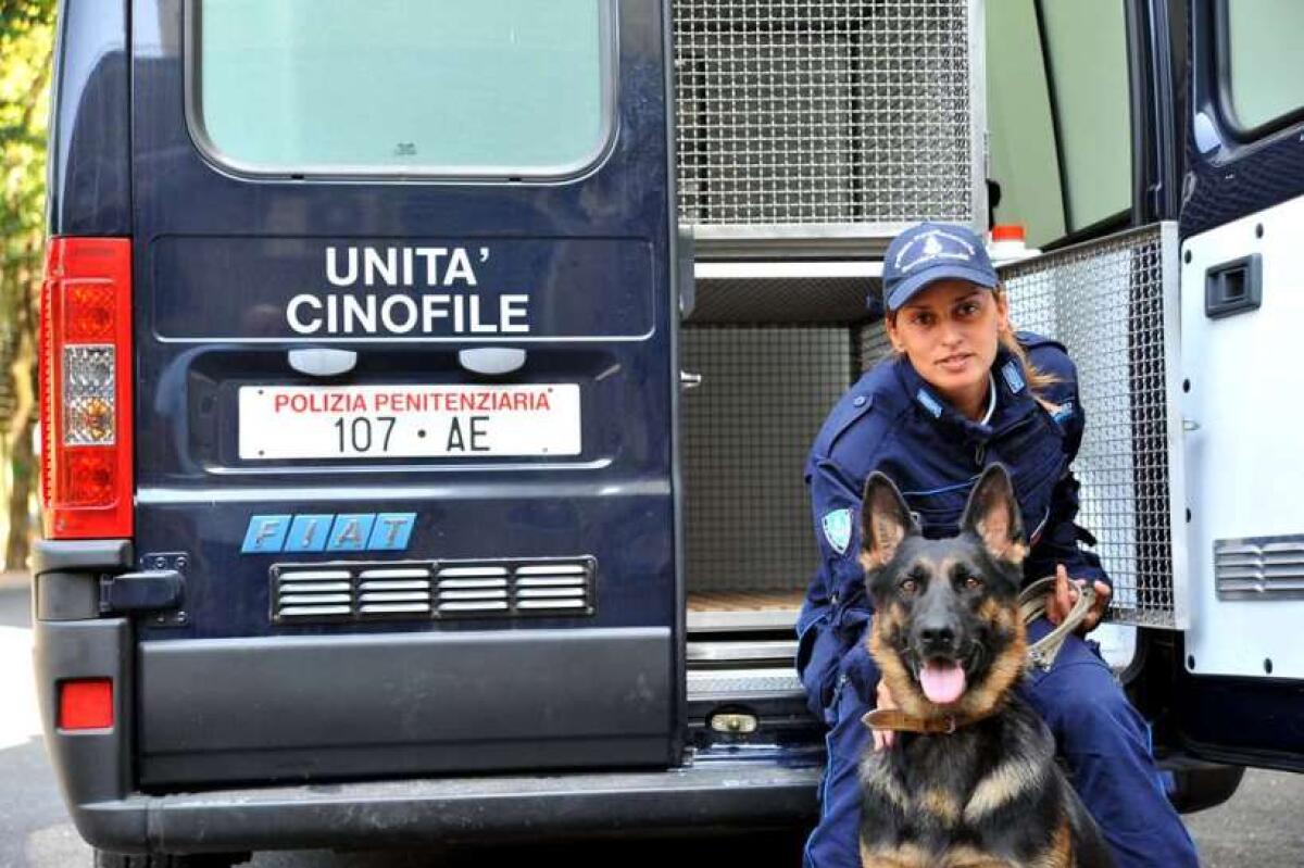 Sequestro di droga nel carcere di Poggioreale - 
