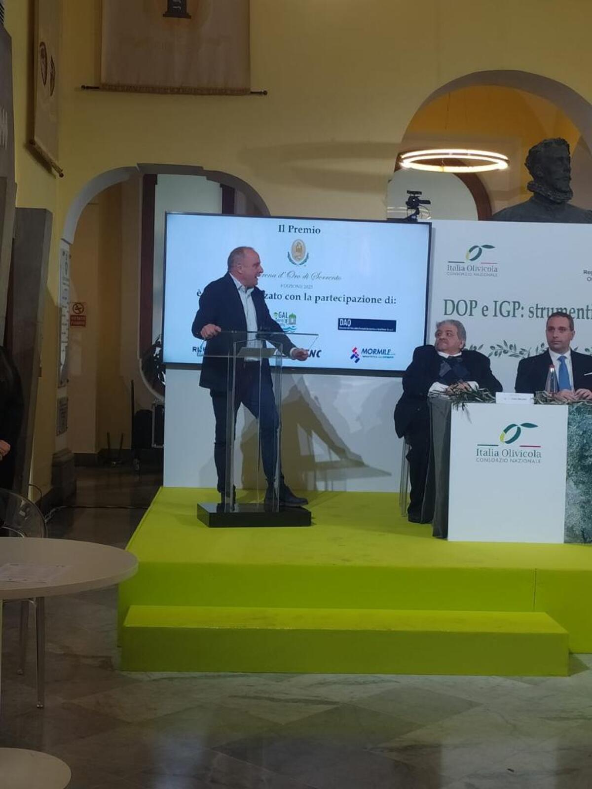 Cia Campania, Olio, serve fare filiera e un piano olivicolo nazionale - 