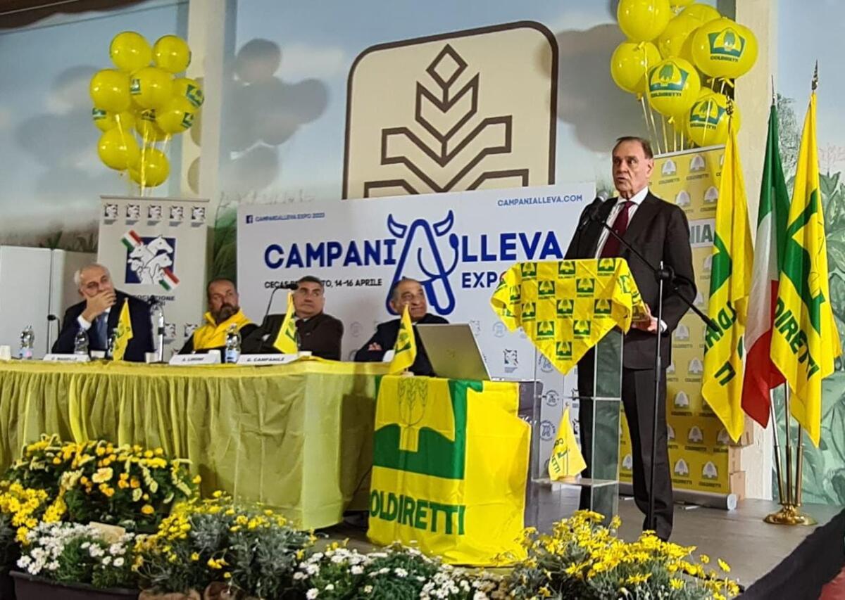 Campania Alleva, successo straordinario - 