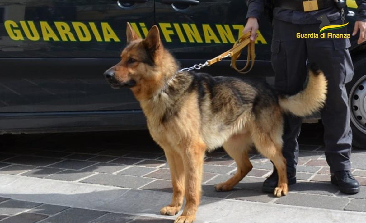 Sequestrati 98.734 chili di cocaina, 43 arresti