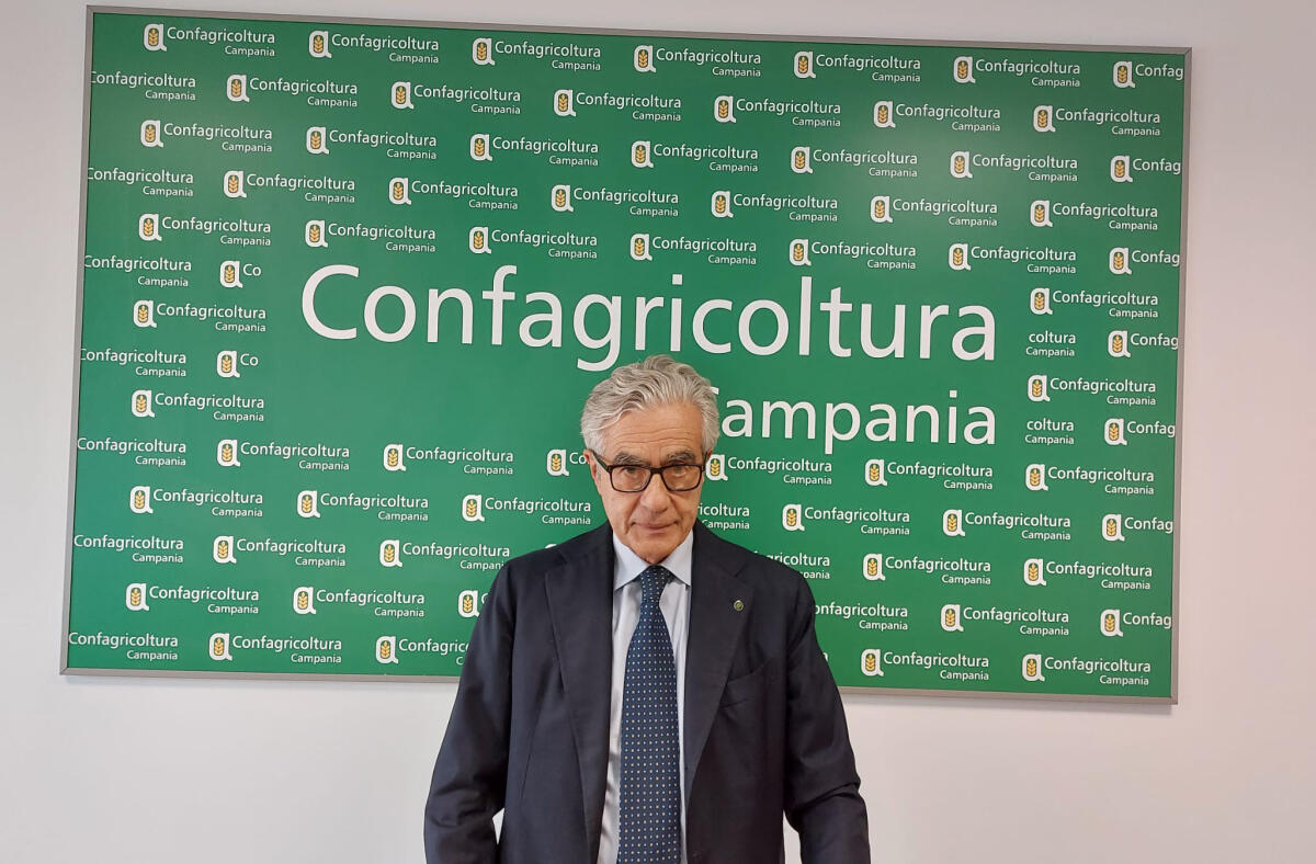 Piano eradicazione brucellosi: precisazioni di Confagricoltura Campania - 
