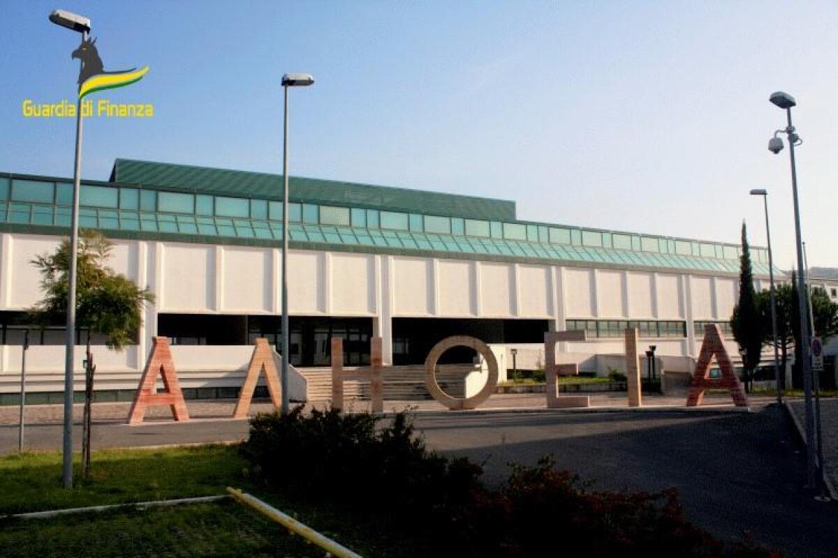 Operazione "Peet Food": bancarotta fraudolenta per 1 Milione e 500 mila euro - 