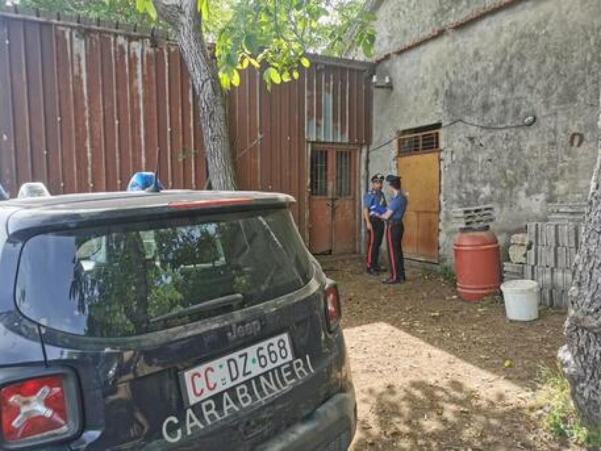 12enne cade dall'asino e muore, la tragedia ad Agerola - 