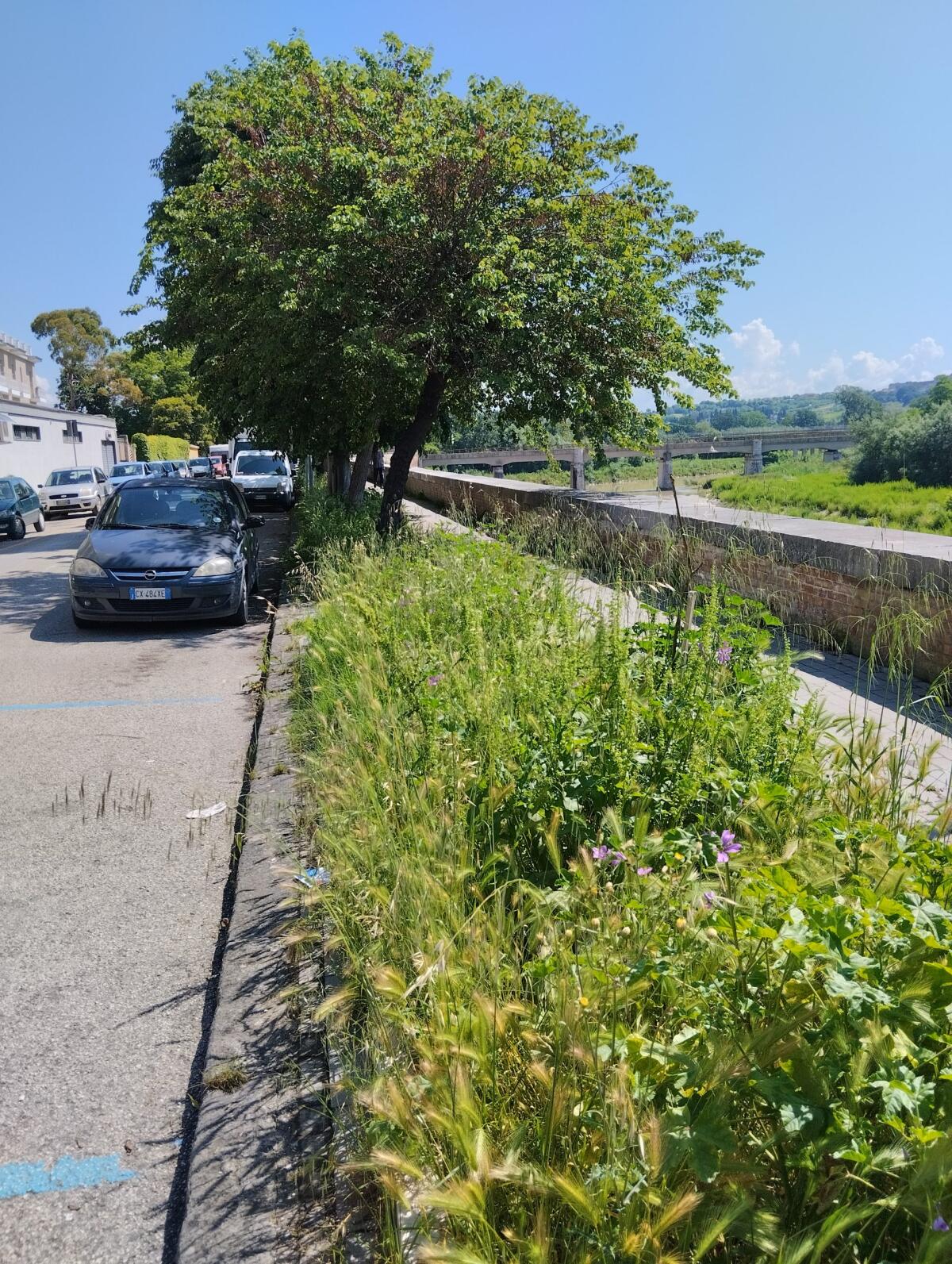 Ai mArgini dei fiumi. - 