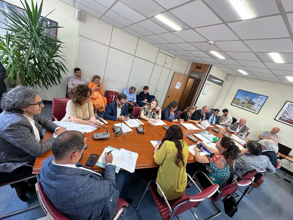 Tavolo tecnico sul diritto alla cura dei disabili gravi sarà 'stabile e strutturale' - 