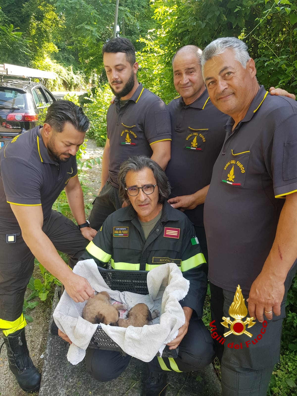 Due cagnolini abbandonati in una scarpata salvati dai Vigili del fuoco