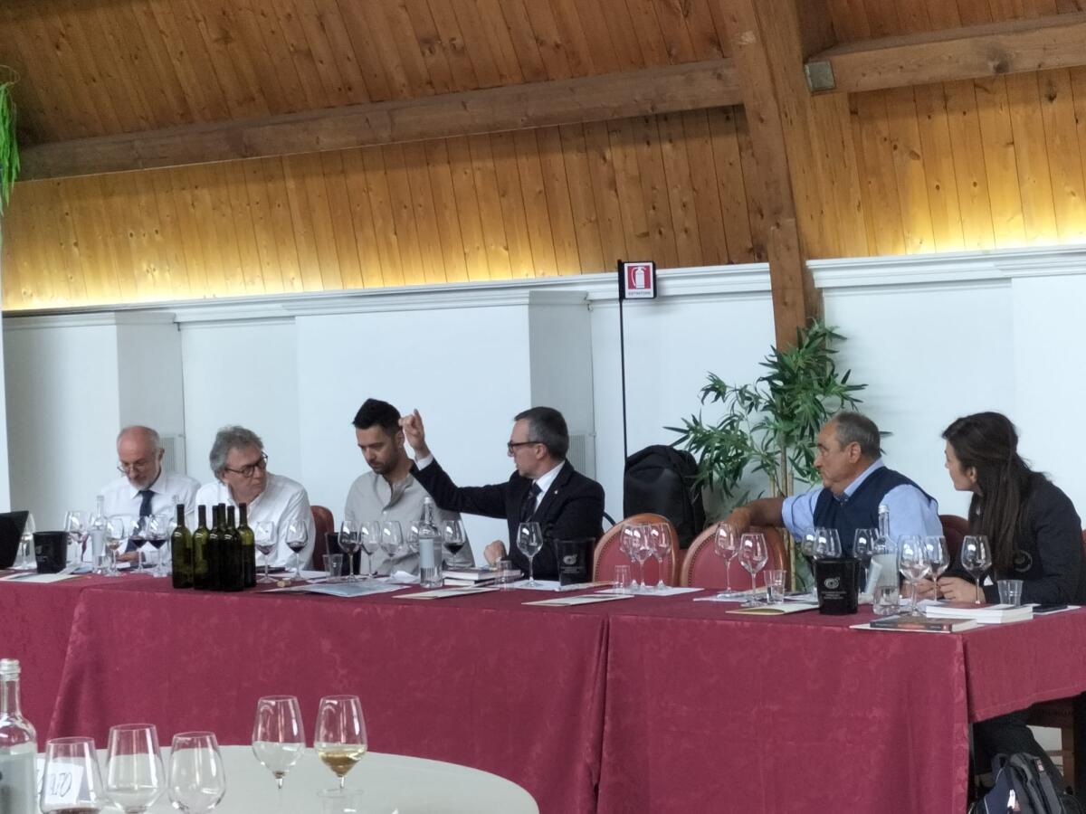 Vino: un’identità ritrovata a Solopaca, nel cuore della Campania viticola - 