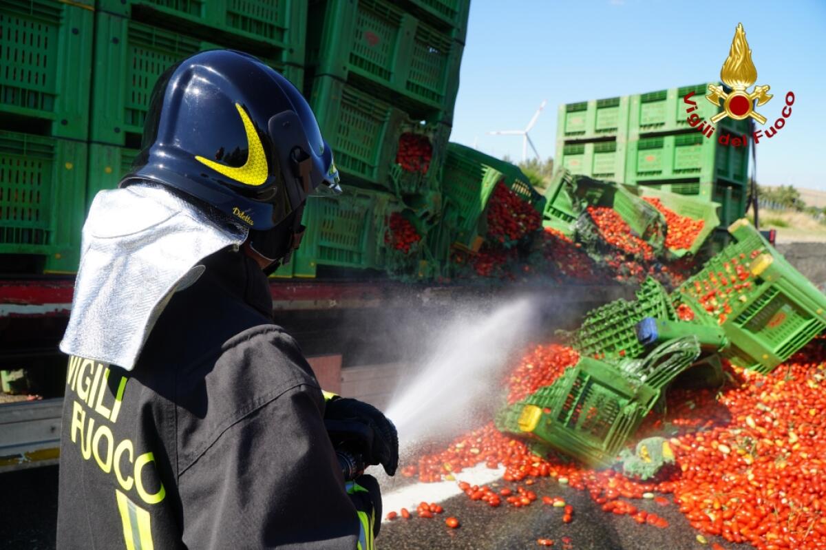 Prende fuoco autoarticolato carico di cassoni di pomodori - 