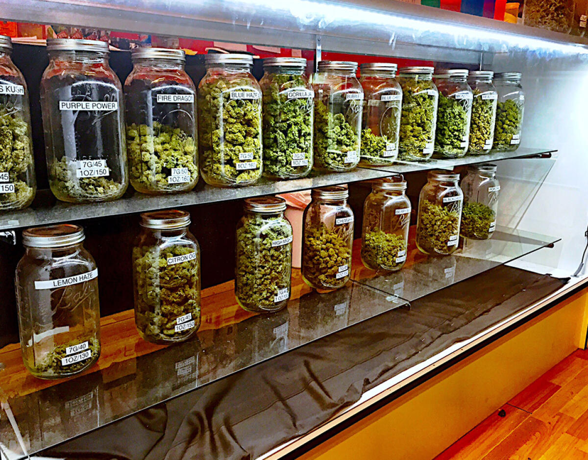 Titolare cannabis shop,vendeva prodotti a elevato Thc, denunciato. - 