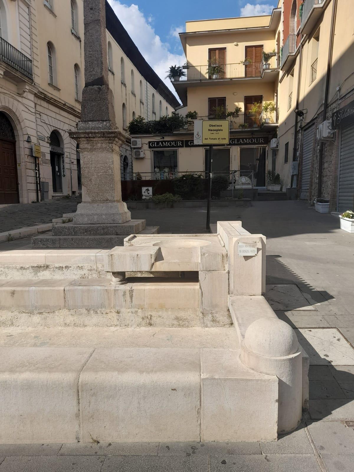 Feleppa (Forza Italia): "Rosa con i nervi tesi al cospetto della verità: la città è sporca, lo dicono tutti" - 