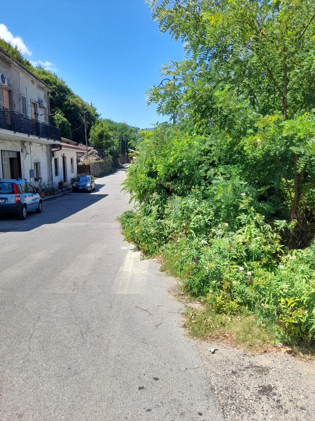 Cervinara. Piazza Ioffredo, chi deve pulire le siepi? - 
