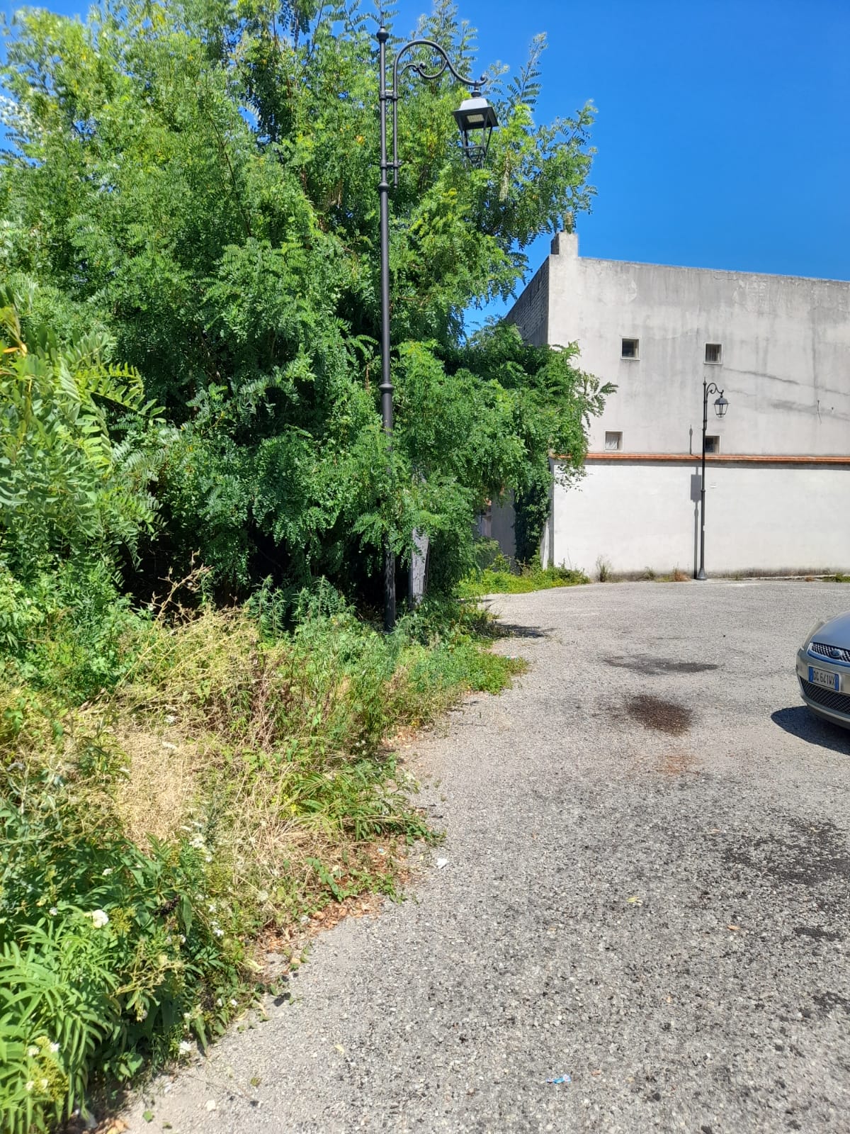 Cervinara. Piazza Ioffredo, chi deve pulire le siepi?