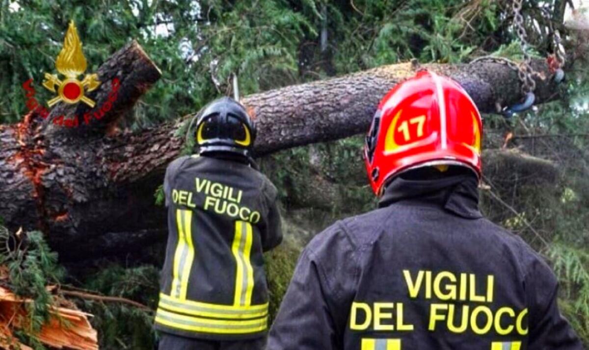 Diversi interventi dei Vigili del Fuoco per il forte vento - 