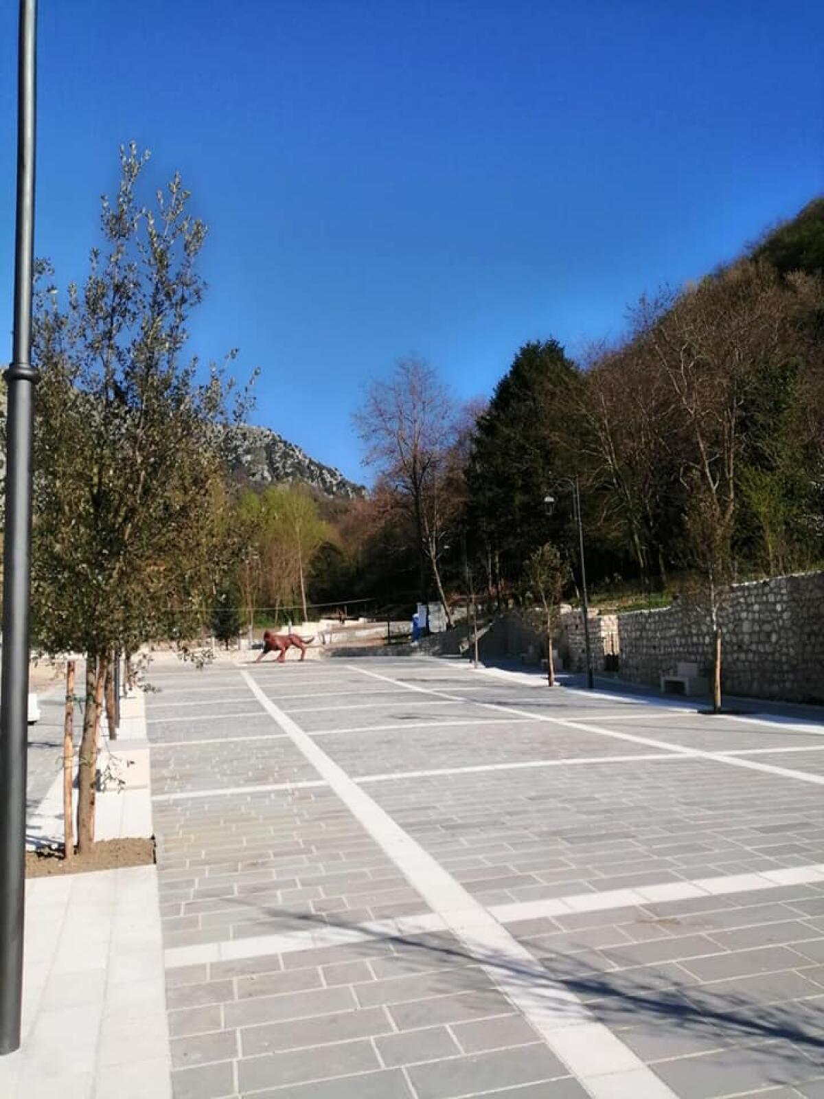 La magia di un fiore - 